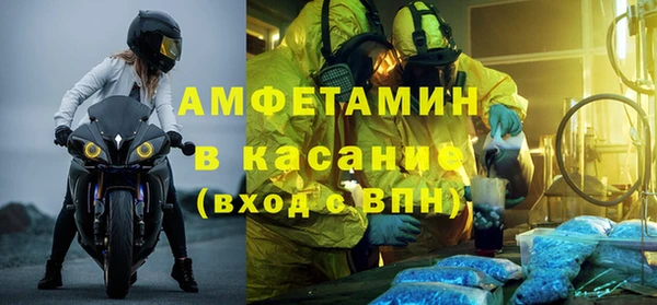 индика Алзамай