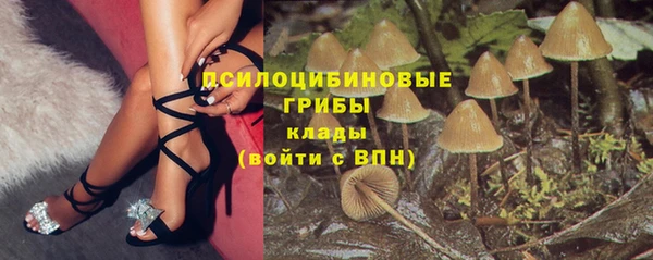индика Алзамай