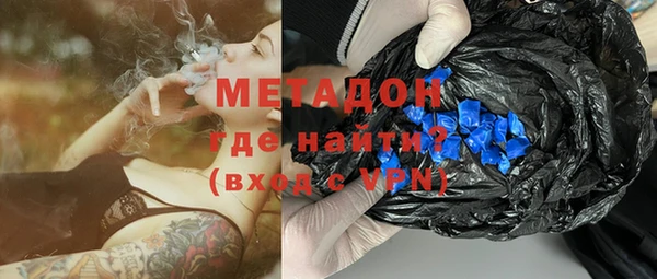 индика Алзамай
