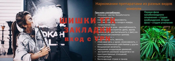 МДПВ Алексин