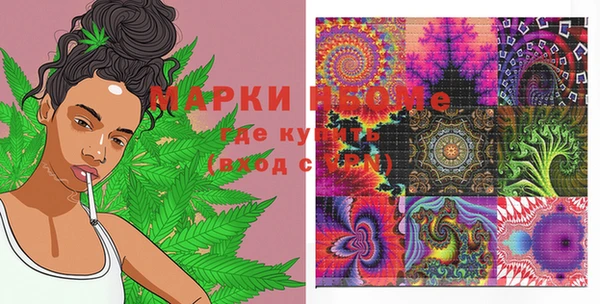индика Алзамай