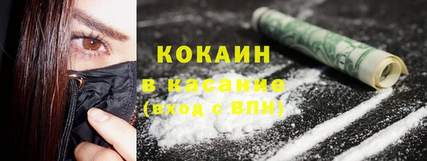индика Алзамай