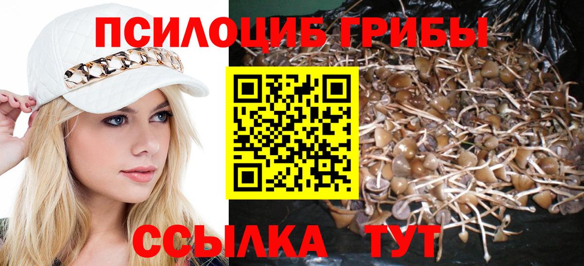 Псилоцибиновые грибы GOLDEN TEACHER Ипатово
