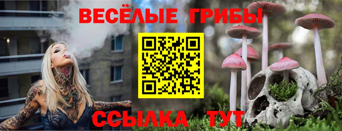 Псилоцибиновые грибы Ипатово